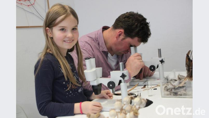 Blick ins Binokular. Bild: den