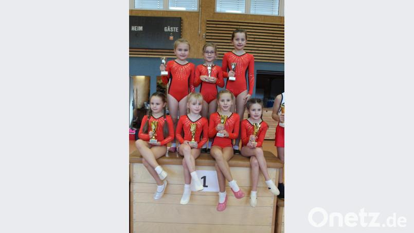 Zwei Mal Platz 1 und ein Mal Platz 2 erreichten die insgesamt zwölf angetretenen Nachwuchsturner der TG Tirschenreuth. Bild: Julia Ritter/exb