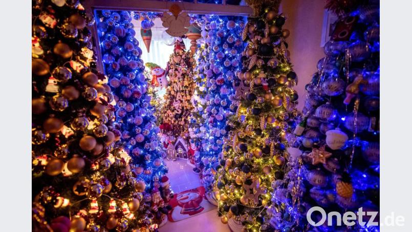 Familie Jeromin hat sich ein Weihnachtswunderland in seinen Wohnräumen geschaffen. Bild: Sina Schuldt