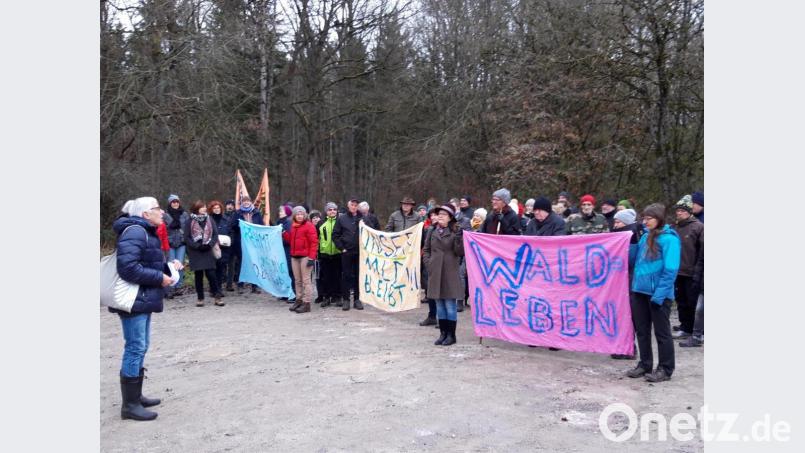 Peter Zahn (links) vom Bund Naturschutz informierte die Teilnehmer des Waldspaziergangs bei der Protestaktion über die Pläne in der Wagensaß. Bild: exb