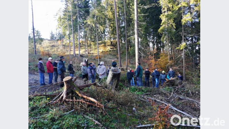 Mit Interesse verfolgten die Teilnehmer die Ausführungen der Wald- und Holzexperten. Bild: ibj