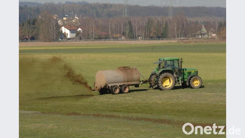Den Neudorfer Landwirten wird beim Bewirtschaften der Böden ein gutes Zeugnis ausgestellt. Bild: Alexander Unger
