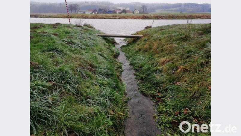 Im Moment ist er ein kleines Bächlein, der Kurmhofbach. Doch wenn die Naab (Hintergrund) Hochwasser hat, tritt auch er über die Ufer. Auch Haindorf (Hintergrund) wäre von einem Hochwasser betroffen. Bild: anv