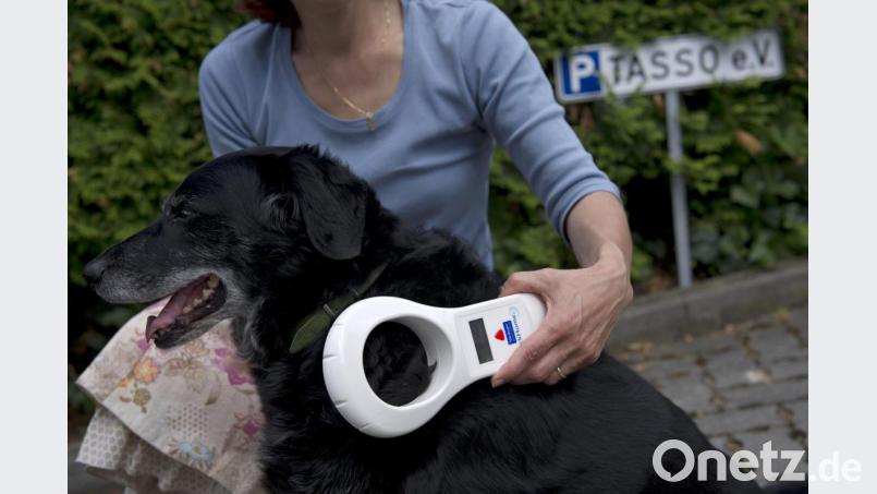Mit einem solchen Chip-Lesegerät können Transponder, die von Tierärzten eingesetzt wurden, ausgelesen werden. Das ermöglicht eine Zuordnung von entlaufenen Tieren zu ihren Besitzern. Bild: Emily Wabitsch/dpa
