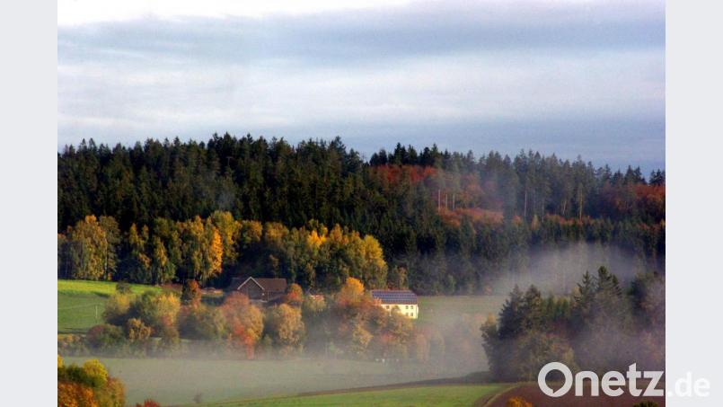 Auf Bildern aus der unmittelbaren Umgebung hielt Anton Vater die ungewöhnliche Farbenpracht des vergangenen Herbstes fest. Bild: exb/Anton Vater
