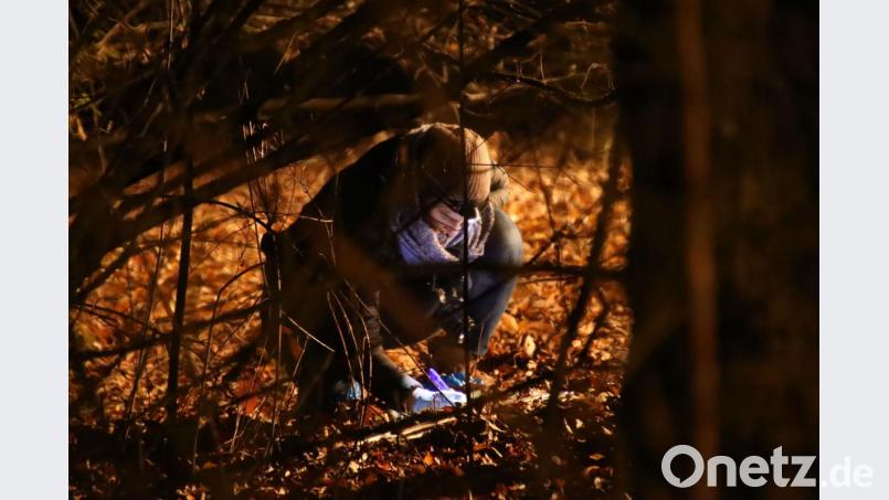 Ein schwer verletzter Mann wurde im Gebüsch einer Parkanlage aufgefunden. Ermittler der Kriminalpolizei sicherten dort Spuren. Bild: Alexander Auer