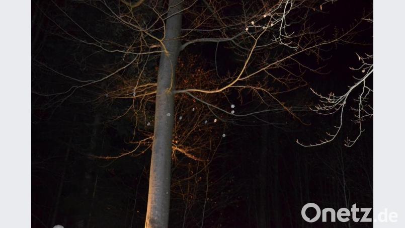 Es war kein Fenster, das geöffnet wurde. Stattdessen bestaunten die mehr als 150 Besucher einen riesigen Baum, an dem in einer Höhe von mehreren Metern Eiskristalle angebracht waren. Bild: gi