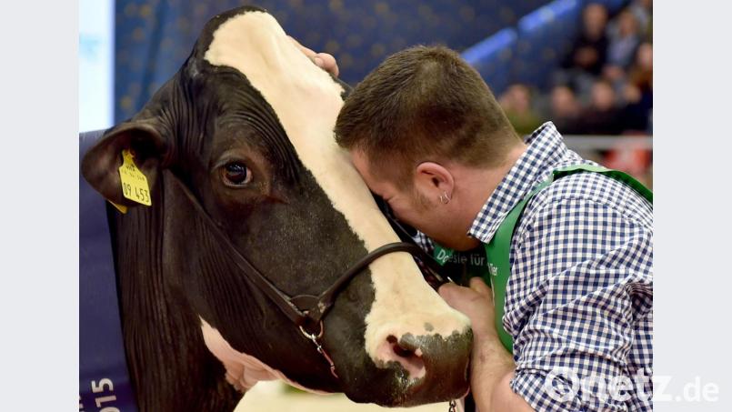 "Lady Gaga" mochte den Laufsteg und stand seit Jahren im Rampenlicht tierischer Schönheitswettbewerbe Bild: Carmen Jaspersen