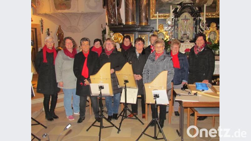Die Veeh-Harfen-Gruppe beeindruckte beim Konzert in der Stadtpfarrkirche St. Georg. Bild: is