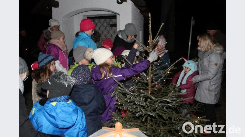 Mit Vogelfutter schmücken die Kinder den Christbaum. Bild: pi