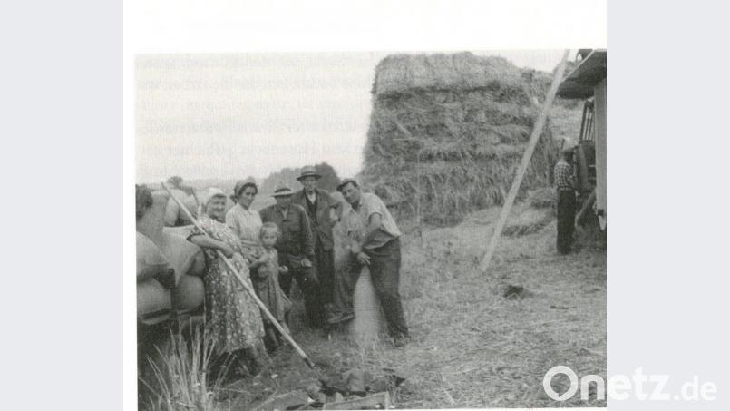 Dresch-Szene bei der Familie Michl in Oberleinsiedl um 1960: Das Bild zeigt das „vom Acker wegdreschen“. Rechts am Dreschkasten der Maschinist Josef Kleindienst, weiter nach links Benedikt Michl sen., Josef Michl sen., ein Knecht, Tochter Brunhilde, Anni Michl und Pauline Niebler. Bild: Familie Josef Kleindienst/Archiv: Josef Schmaußer