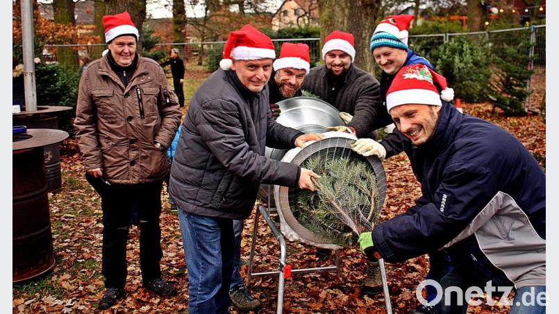 Die SpVgg bietet Christbäume zu Verkauf an. Der Erlös fließt in die Jugendarbeit. Bild: zer