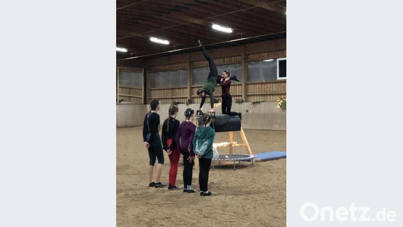 Professionell bewies sich die Turniergruppe Voltigieren mit Akrobatik auf dem Holzpferd. Bild: ubb
