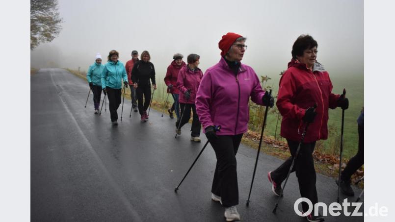 Egal ob Sonne, Regen, Nebel oder Schnee: Die Nordic-Walking-Gruppe des SV Wildenreuth ist regelmäßig miteinander unterwegs. Bild: lue
