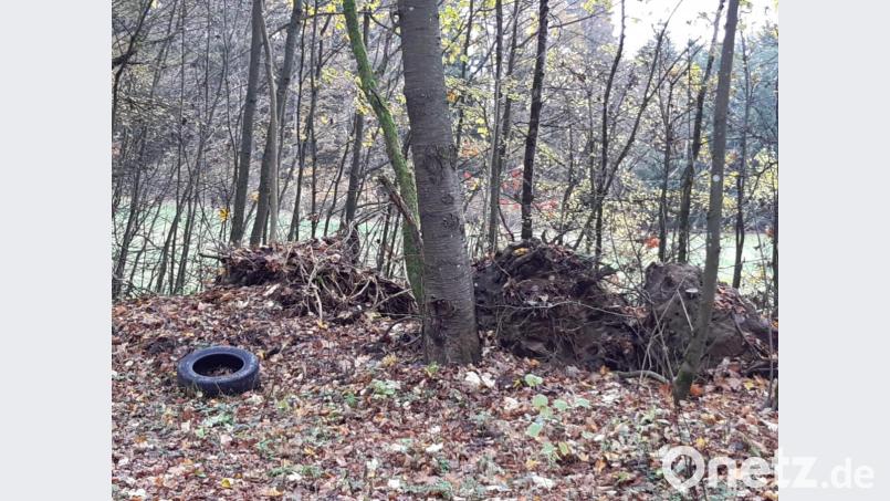 Die Exkursion durch die „Frühmeß“ öffnete manchen Teilnehmern die Augen: Müll und Gartenabfälle. Bild: exb