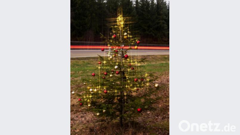 Jetzt strahlt er wieder auf seiner Wiese an der Straße zwischen Tirschenreuth und Wondreb, der &quot;Christbaum der Herzen&quot;. Bild: tr
