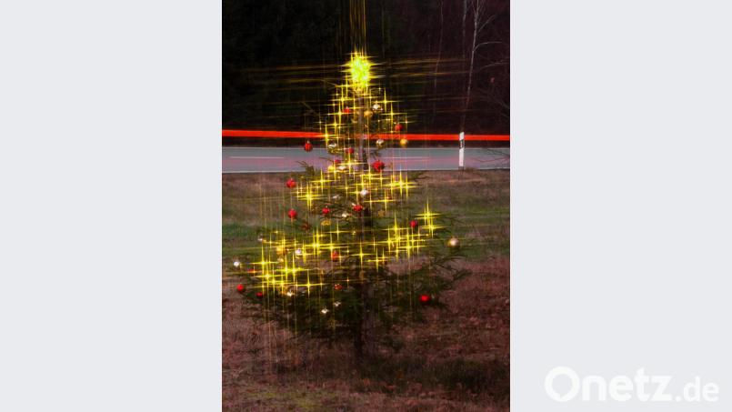 Jetzt strahlt er wieder auf seiner Wiese an der Straße zwischen Tirschenreuth und Wondreb, der &quot;Christbaum der Herzen&quot;. Bild: tr