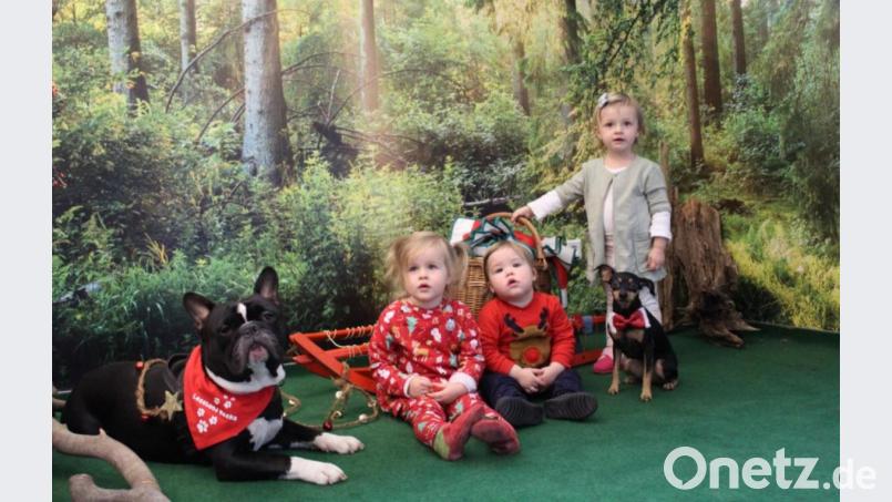 Die Lesehunde bescheren den Kindern einen vorweihnachtlichen Kindergartentag. Bild: Bild: exb/Jessica Caudill