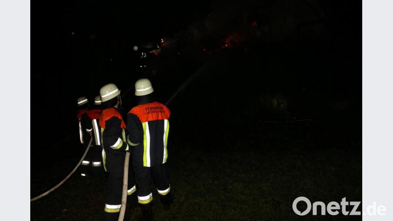 In dem steilen Waldstück hatten die Einsatzkräfte keine leichte Aufgabe. Bild: Roland Wellenhoefer