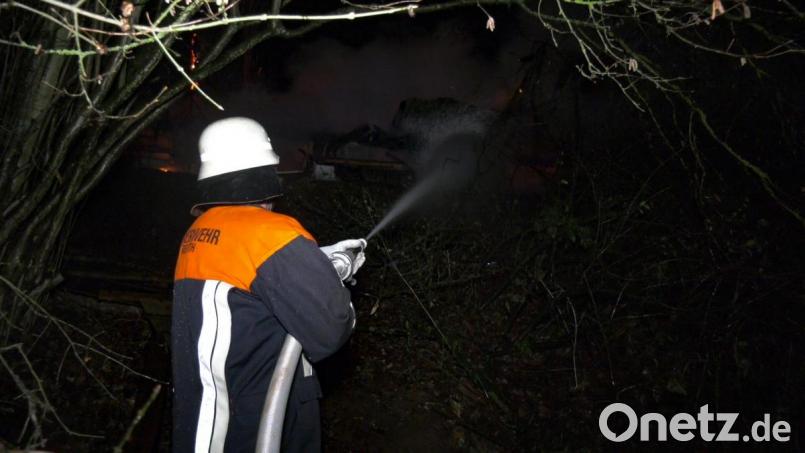 In dem steilen Waldstück hatten die Einsatzkräfte keine leichte Aufgabe. Bild: rw