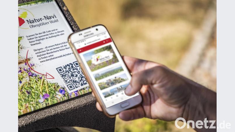 Wandern 2.0: Mit dem Natur-Navi lässt sich auf der nächsten Tour viel entdecken. Bild: Thomas Kujat /TV Ostbayern