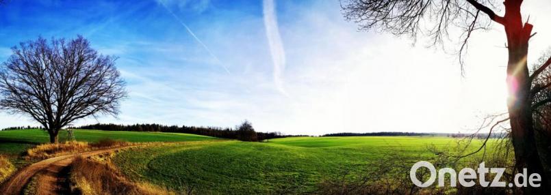 Momentaufnahme Mitte Dezember im Landkreis Amberg-Sulzbach - Frühlingsgefühle kurz vor Weihnachten. Bild: ind