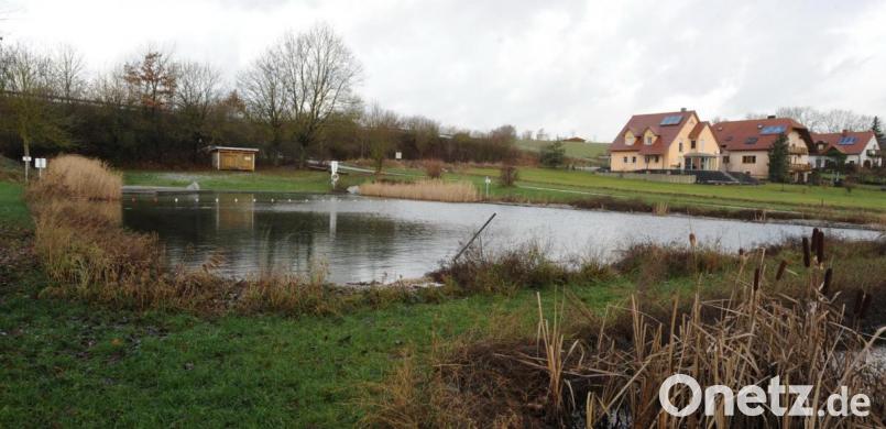 Beim Atzmannsrichter Badeweiher könnten mit Mitteln aus dem Regionalbudget für Kleinprojekte ein Beachvolleyballfeld und weitere Parkplätze gebaut werden. Bild: gf