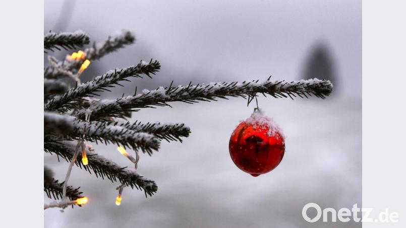 Ein geschmückter Christbaum steht im Garten eines Bauernhofes. Bild: Karl-Josef Hildenbrand/dpa
