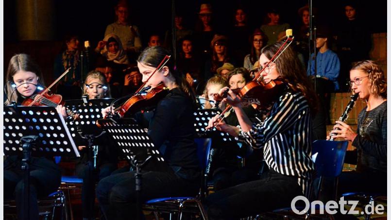 Die Streicher des Kammerorchesters. Bild: Kunz