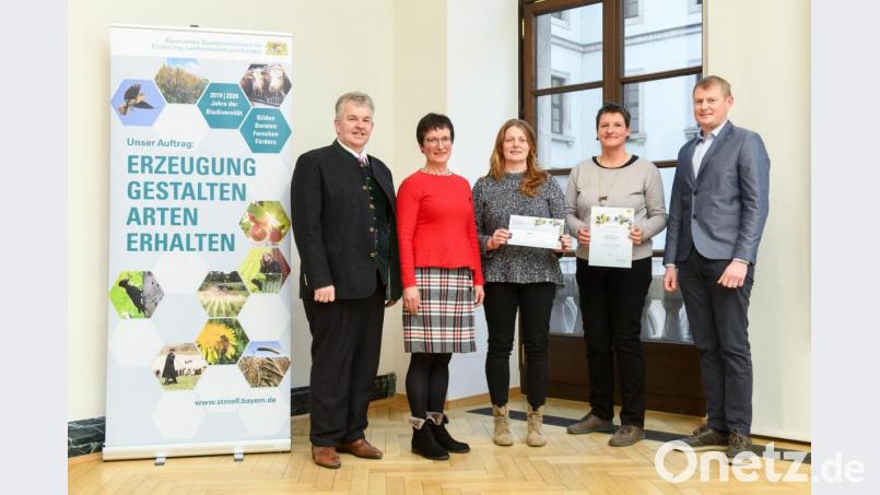 Amtschef Hubert Bittlmayer überreichte der Tirschenreuther Abordnung einen Bronzepreis. Von links Bittlmayer, Schulleiterin Doris Eckl, die Semestersprecherinnen Nadia Stumpf und Brigitte Breusch-Veittinger sowie Pflanzenbaulehrkraft Johannes Schrems. Bild: Tobias Hase, StMELF/exb