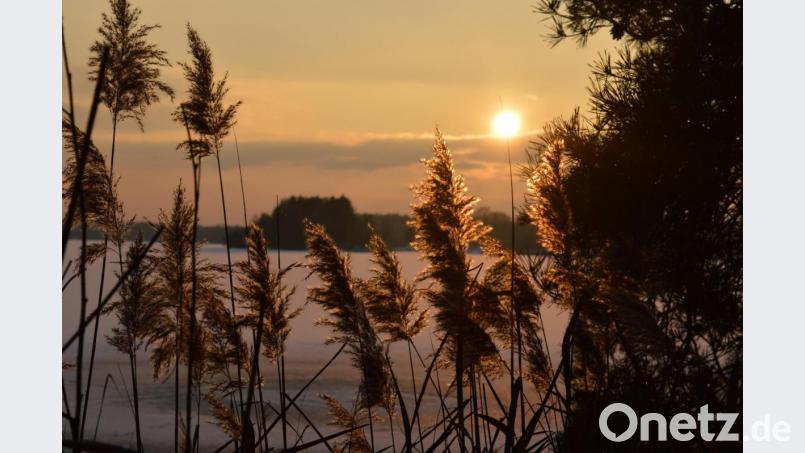Stimmungsvolle Stunden lassen sich auch im Winter am Steinberger See verbringen. Bild: exb/Elisabeth Wißmann