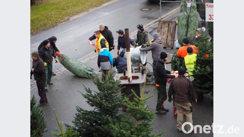 Bis zu 40 Feuerwehrkameraden sind pro Samstag beim Christbaumverkauf freiwillig im Einsatz. Trotz der vielen Arbeit sind sie mit viel Spaß dabei. Bild: wmi