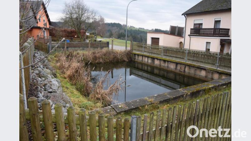 Wie ein idyllischer Dorfweiher. Der Löschteich erfüllt seine Funktion kaum mehr. Eine Zisterne oder Tanks sollen ihn ersetzen. Bild: fz