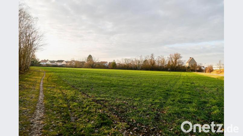 Im Rothlindenviertel, östlich der Ehrlichstraße und südlich der Steinberger Straße (rechts) hat die Stadt Grund für ein neues Baugebiet erworben. Bild: Hösamer