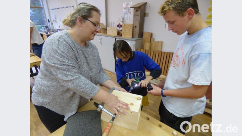 Erster inklusiver Social Day im Landkreis Tirschenreuth. Bild: Netzwerk Inklusion/exb