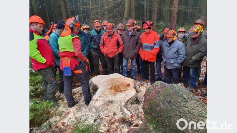 Die Sicherheit der Waldarbeiter hat oberste Priorität. Fällkeile erleichtern die Arbeit. Gewusst wie. Ein Forsttechnik-Team der Bayerischen Landesanstalt für Wald und Forstwirtschaft (LWF) präsentiert den Waldbauern den Umgang. Bild: dob