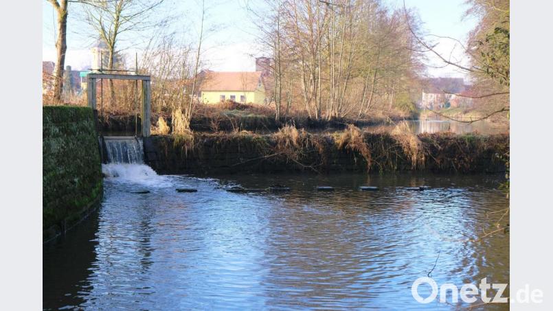 Längst haben sich die Tremmersdorfer an die Idylle der Wehranlage zum Aufstauen der Creußen gewöhnt. Bild: do