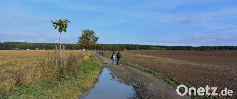 Der Weg ist das Ziel. Jeder wanderte beim Testlauf in seinem eigenen Tempo. Bei strahlendem Sonnenschein ging es die letzten Kilometer von Kralovice (Kralovitz) nach Žihle (Schöles) bei Pilsen. Bild: exb