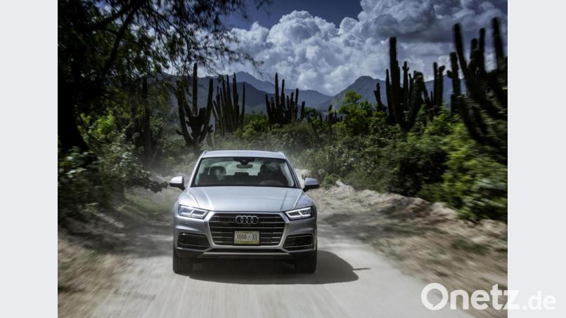 Der Audi Q5 verleugnet seine Herkunft aus Mexiko nicht. Doch ein Käufer ist mit der Qualität des Fahrzeugs überhaupt nicht zufrieden. Ihn stört das KIackern, das das ABS-System bei einem Selbsttest verursacht. Bild: Audi AG