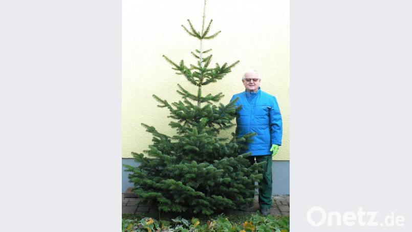 Gärtnermeister Robert Herl gibt Tipps, wie man die Zecken bis Heiligabend los wird. Bild: lep