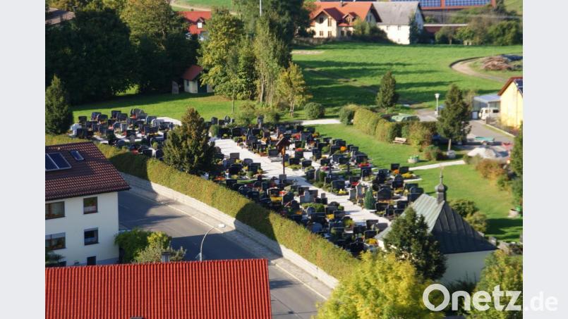 Wildtiere und Katzen sind auf dem Friedhof immer wieder unterwegs – sehr zum Ärger der Grabbesitzer, die über die Zerstörung von Blumen und Pflanzen klagen. Archivbild: mmj