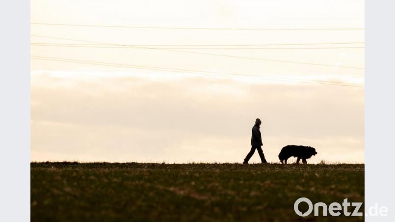 Eine Frau geht mit ihrem Hund spazieren. Symbolbild: Fabian Sommer/dpa