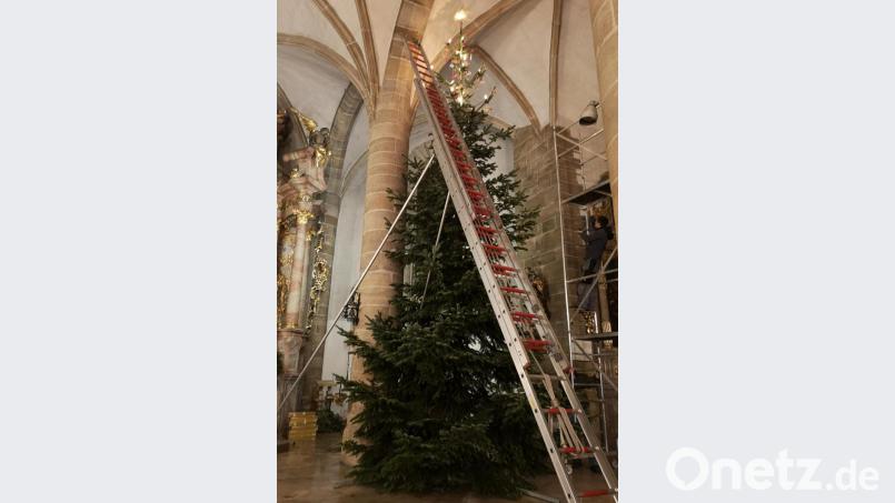 Die dreiteilige Schiebleiter der Freiwilligen Feuerwehr Kemnath war in diesem Jahr notwendig um den großen Baum in der Kemnather Stadtpfarrkirche zu Schmücken. Bild: mde