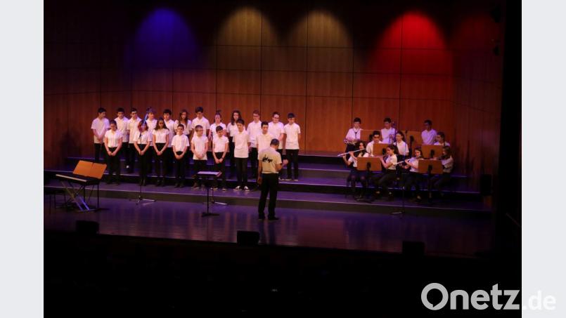 Alle französischen Austauschschüler, die beim Konzert mehrere Beiträge vorgetragen haben, mit ihrem Musiklehrer Jean Bourdoncle. Bild: Christine Uhle/exb