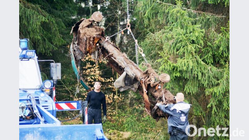 Diesen verrotteten Käfer gräbt die Kripo im April aus. Zunächst scheint es, als gäbe es eine neue heiße Spur. Bild: ca