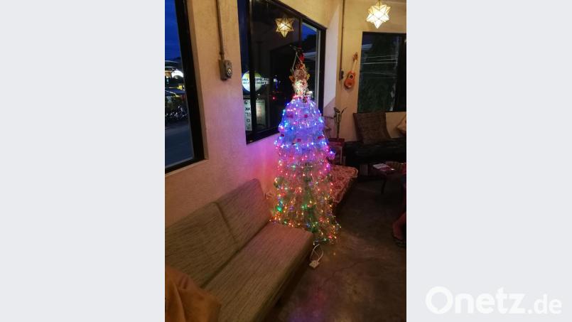Ganz schön bunt ist dieses Plastikbäumchen, das hier auf Weihnachten einstimmen soll. Bild: exb