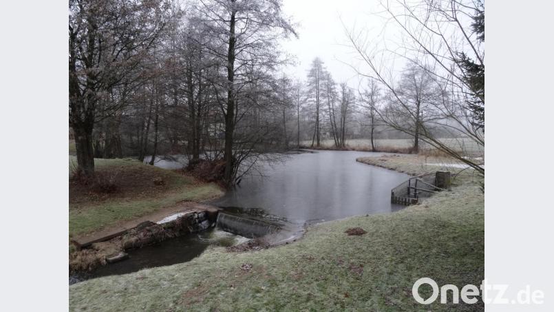 Im Kostenvoranschlag ist unter anderem die Entladung des Geschiebeteichs Rammelsbrücke und des Stauweihers Haidenaab (Bild) bis zum Ortsende enthalten. Bild: ak
