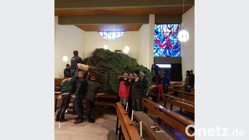 Dank eines ausgeklügelten Systems und vieler kräftiger Helfer bleiben Baum, Bänke und Altar beim Aufstellen des großen Baums unbeschadet. Bild: phfz