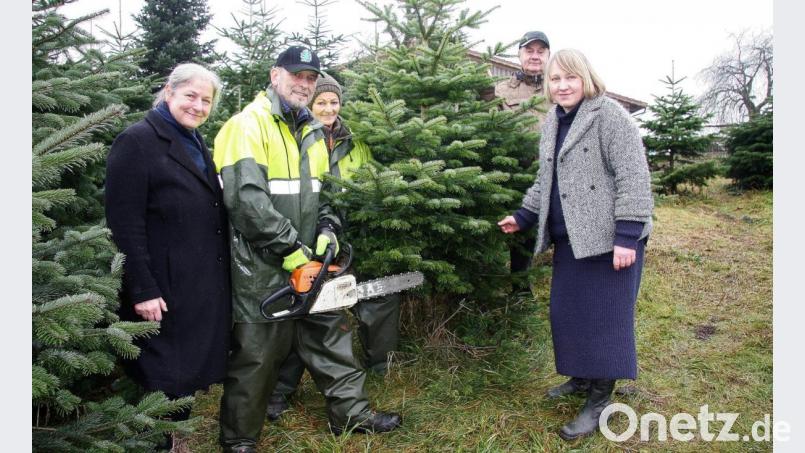 Die beiden Christbäume, die sich die Kunden aus Thüringen beziehungsweise Sibirien ausgesucht haben, werden frisch abgesägt und danach in die Kofferräume der Autos verladen. Im Bild (von links) Helmburg Göpfert-Stöbe, Alfons und Stefanie Höcht, Valerij Buschuev und seine Tochter Swetlana Lüse-Dominnik. Bild: wro