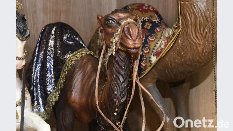 Die Kamele haben die richtige Farbe durch Schuhcreme bekommen. Bild: Petra Hartl